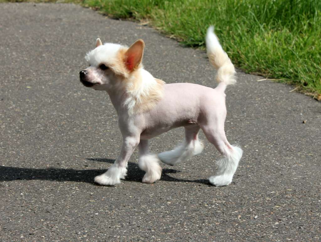 Gianna Viktoria Mikeilon