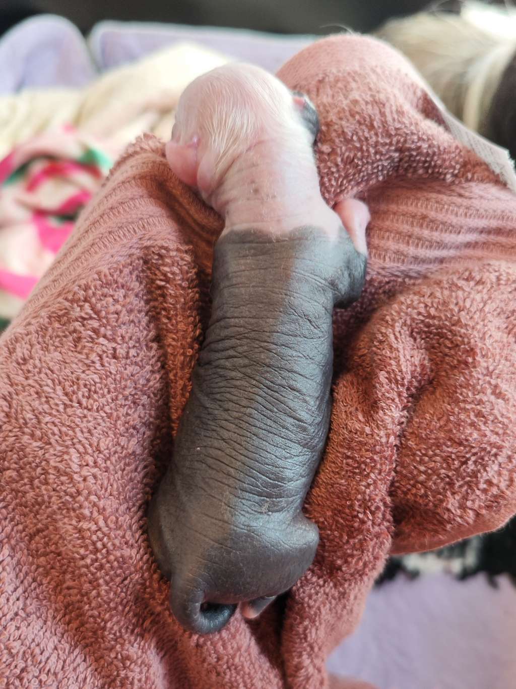 Naked Stars It's A Unicorn Thing