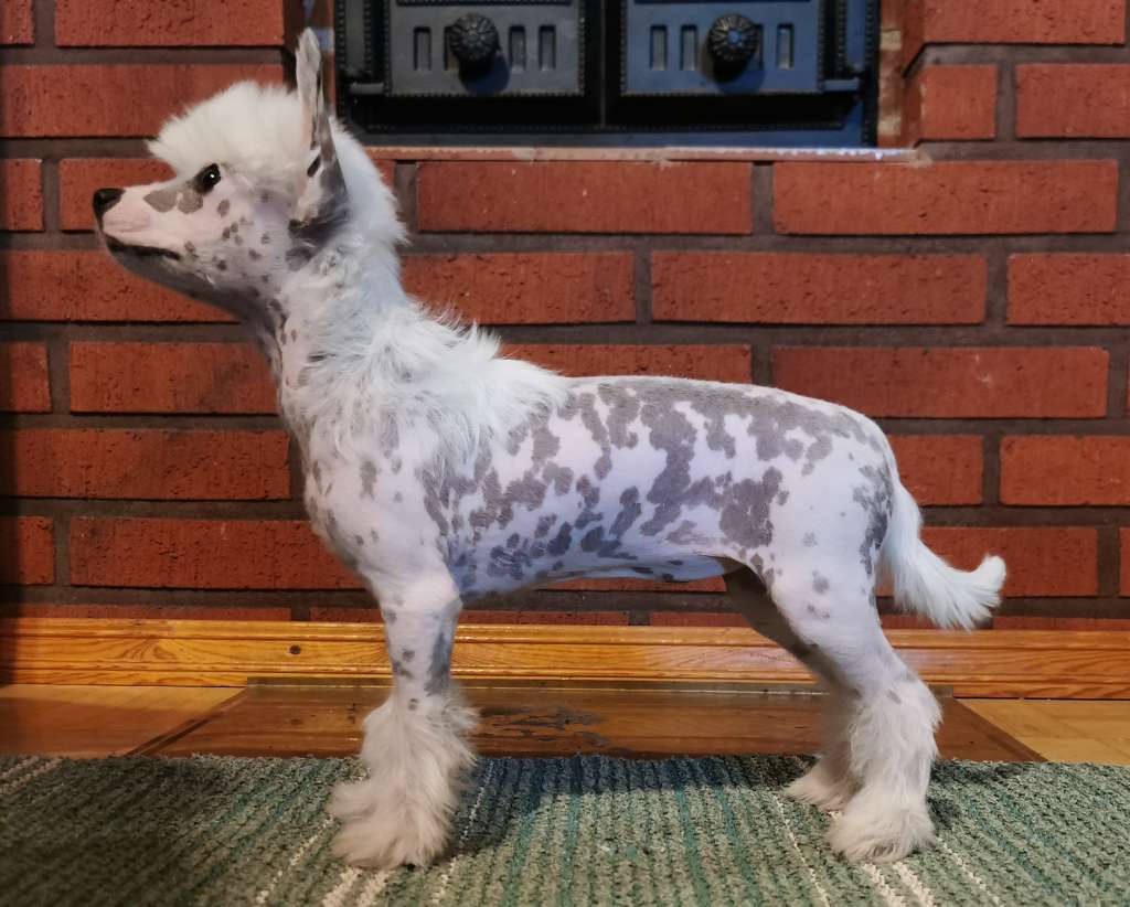 Xtra Bold Fourever You