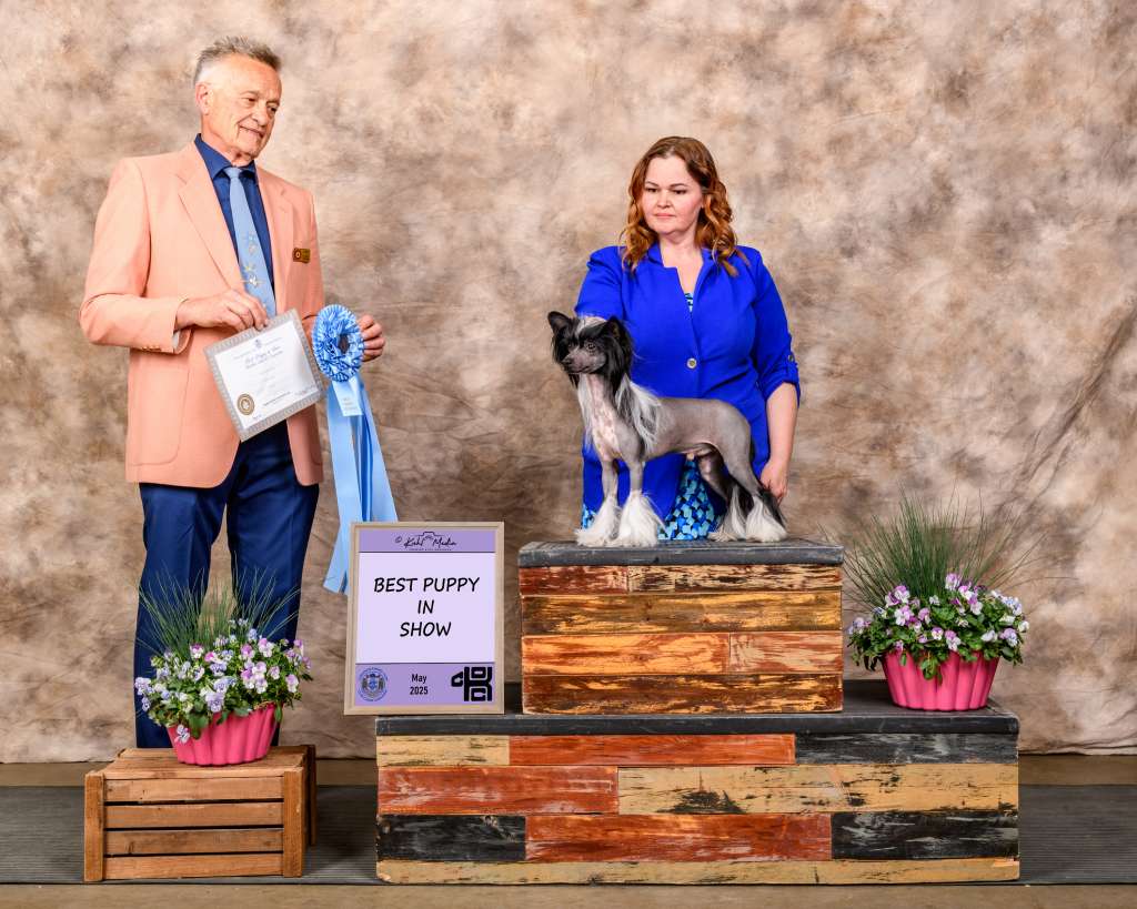 Halostar n Shantel?s It Started With a Whisper