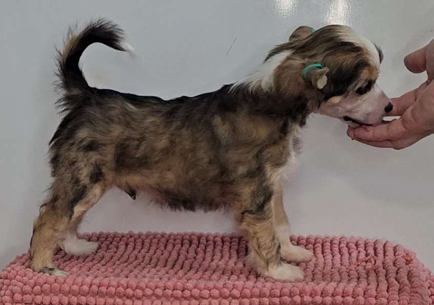 Kaitlin Hold Your Horses