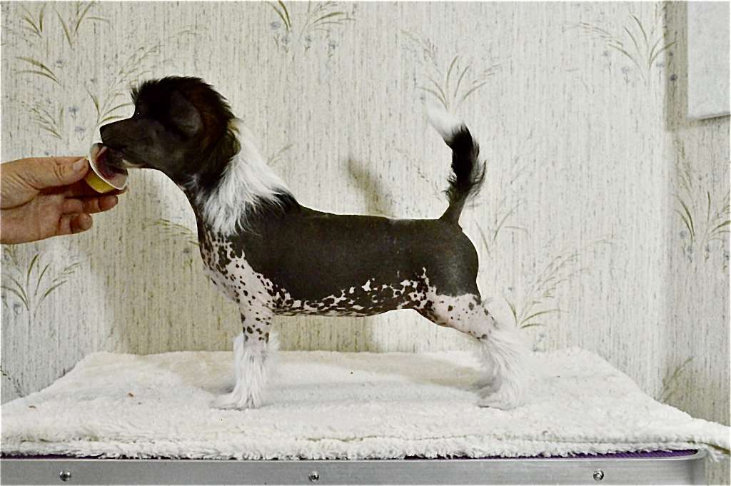 Girls Girls One and Only