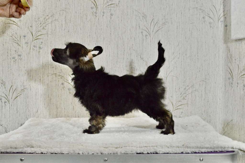 Girls Girls One of the Girls