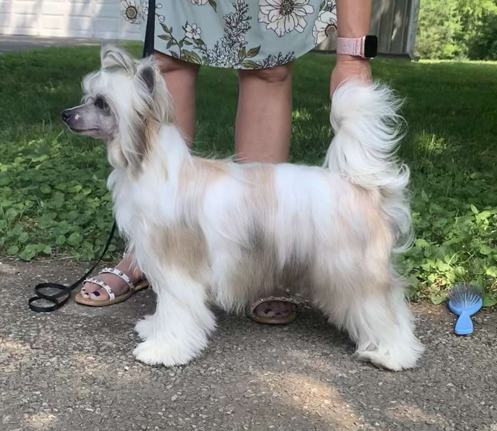 Soluna Jewels Born of Light