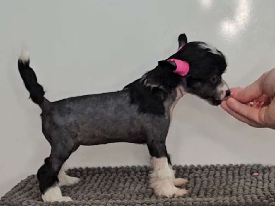 Kaitlin Glamour Is My Life