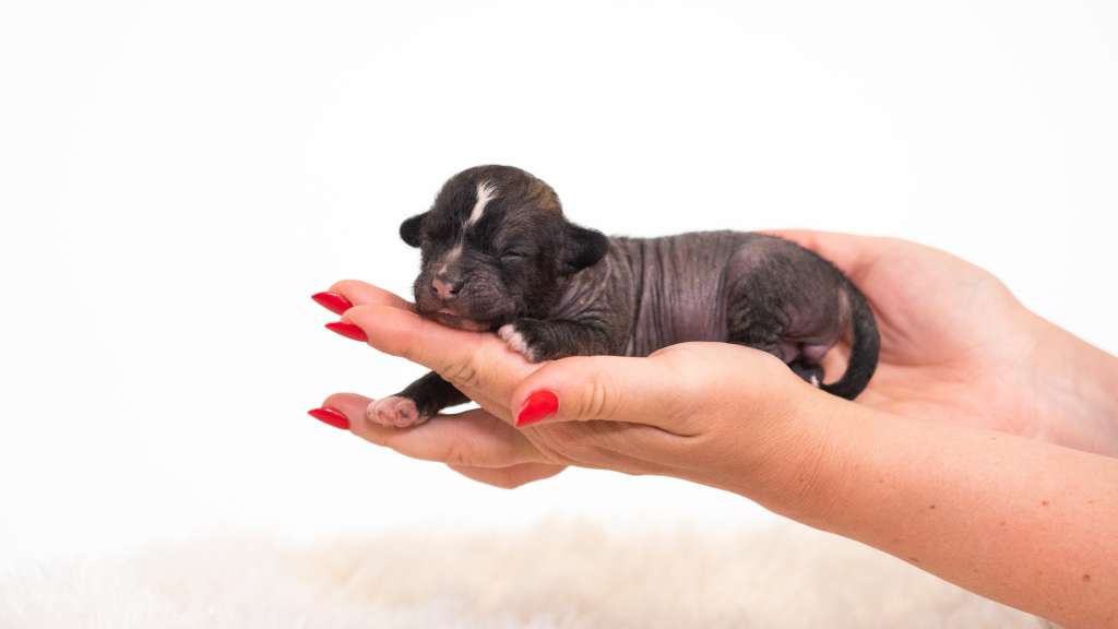 Omg I Am Naked Modern Family