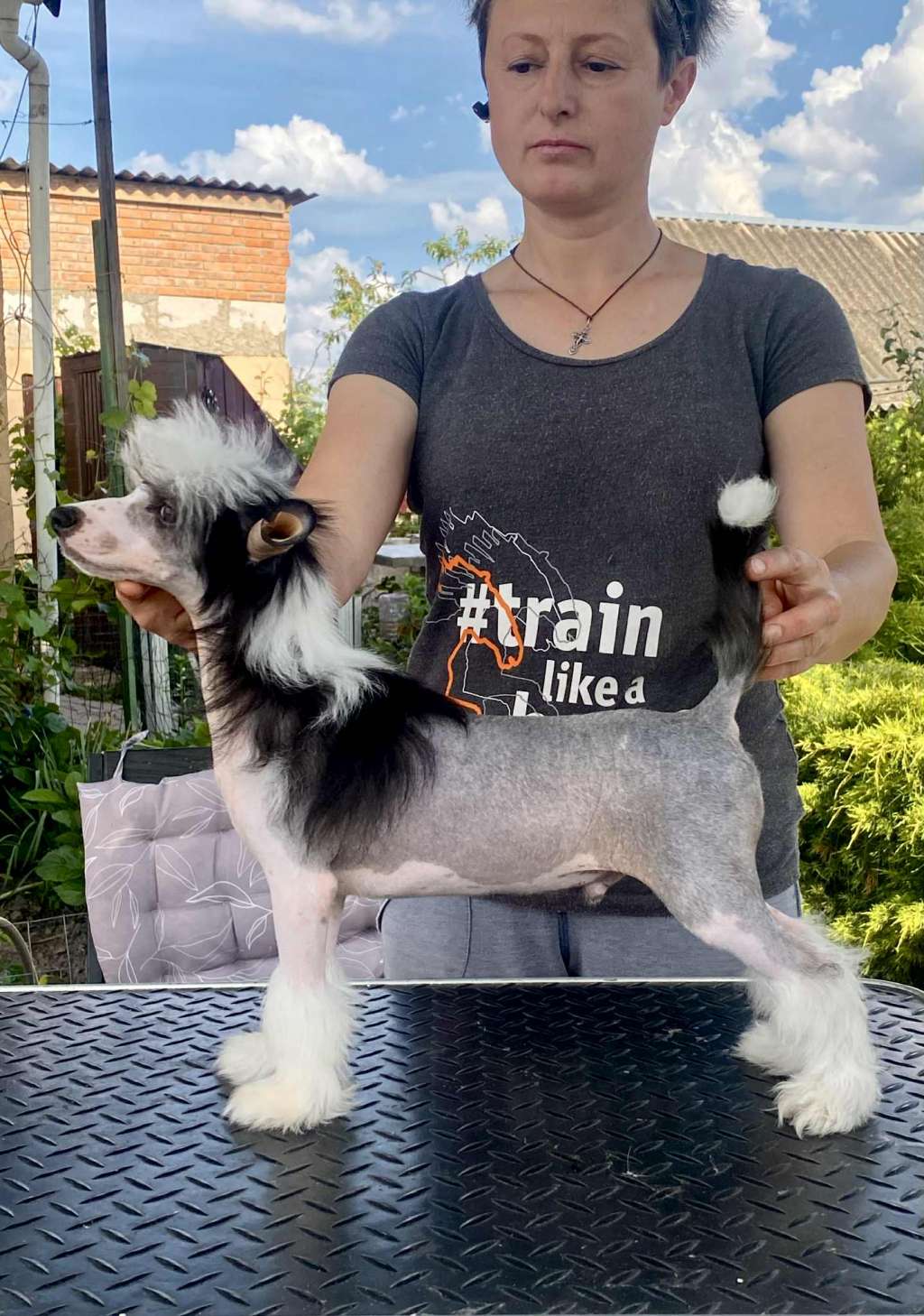 Natus Vincere Minodora