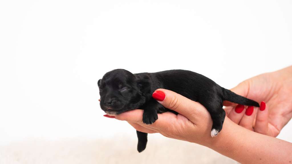 Omg I Am Your First Choice Modern Family