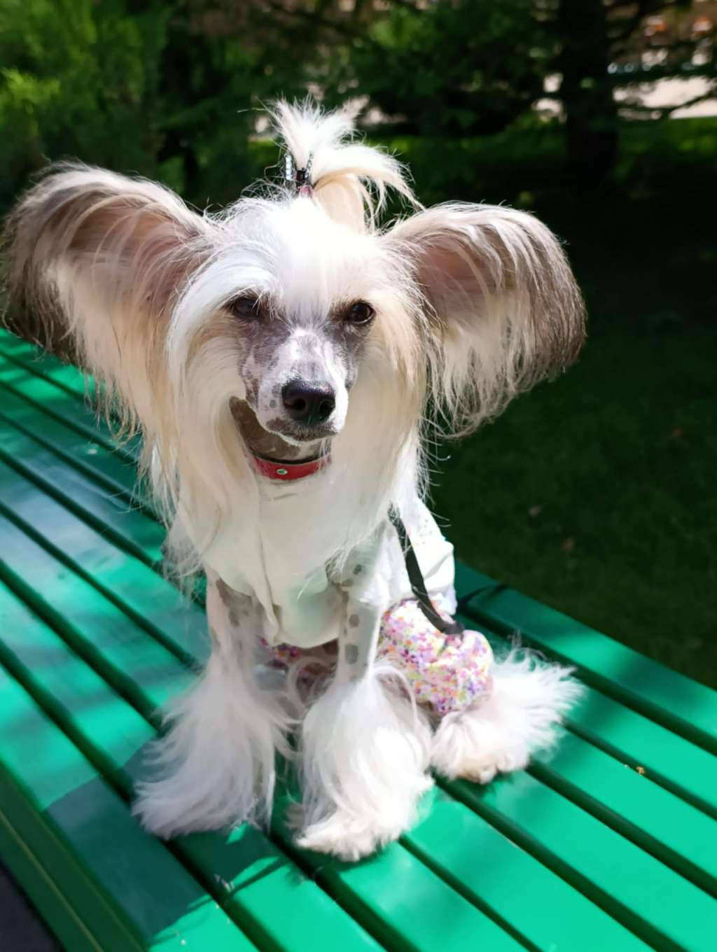 Villa Narkevych Juliette