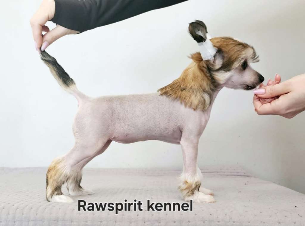 Rawspirit Underground