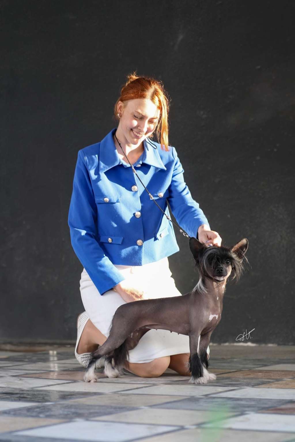 Dakota Rose Tramonto A Montmajour