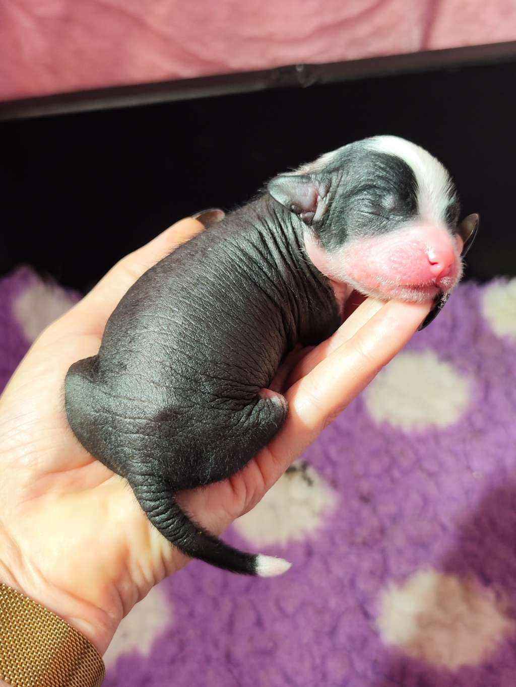 Naked Stars Rainbow In My Stride