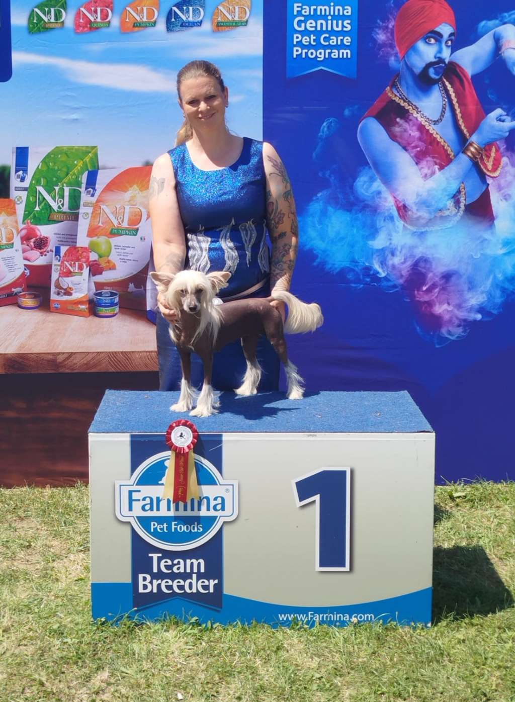 Little Dog of Dream Voxie