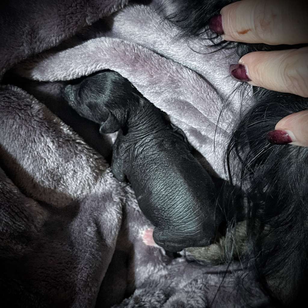 Kaylens Pop The Cork!