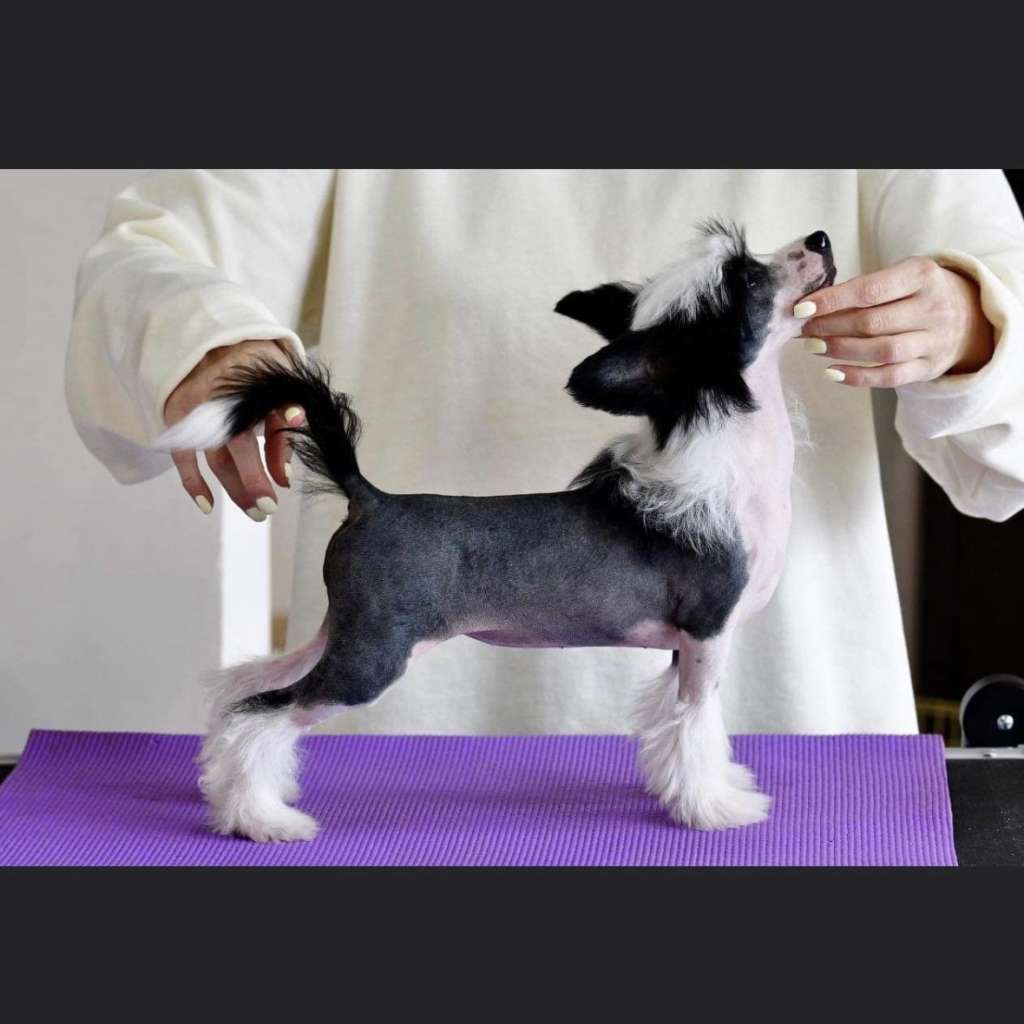 Incandescent Winning Smile