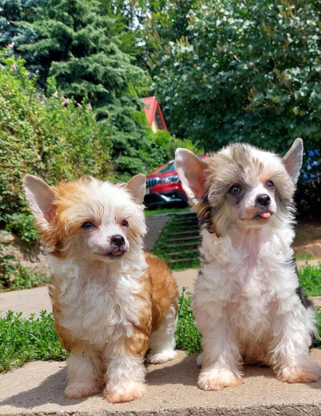 Yolie Moon Cool Lady