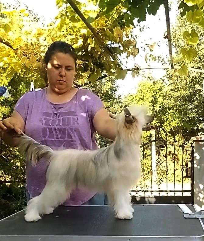 Anika Molosos Gratzi