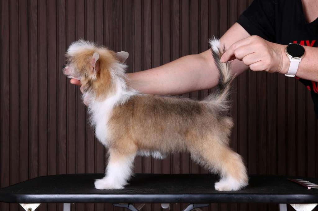 Incanto Del Mondo Red Pepper