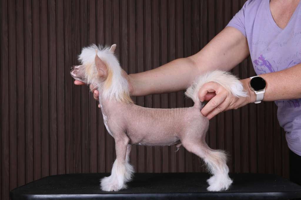 Incanto Del Mondo Romance