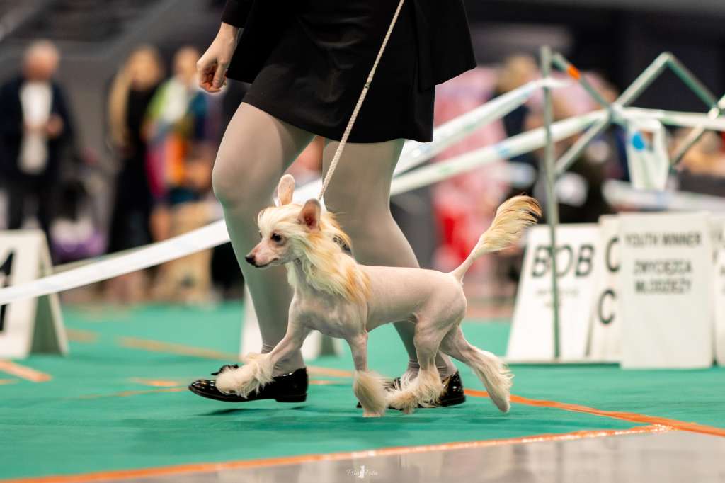 Licze Na Ciebie Akizabo