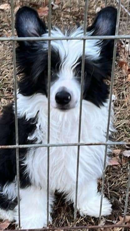 Marlei's Fuel the Flame