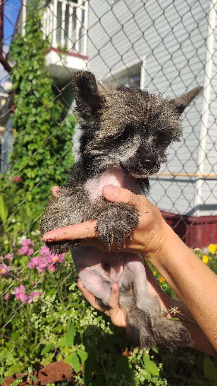 Endless Kiss Ronaldo