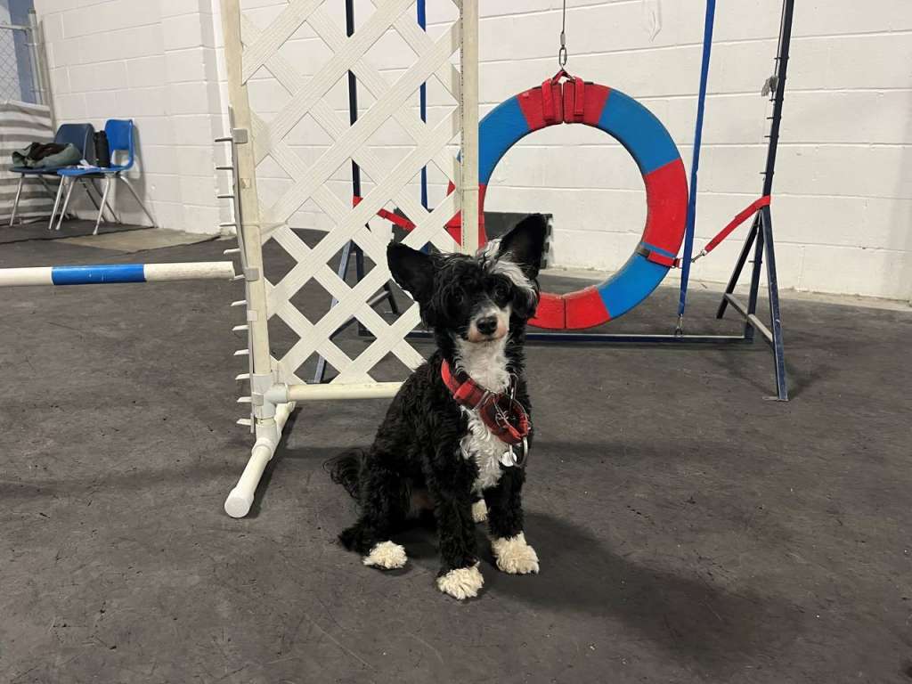 Taja I've Got An Ink-Ling