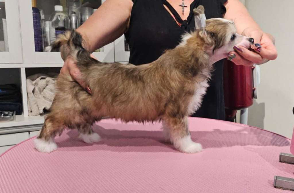 Jamming's Vito Corleone