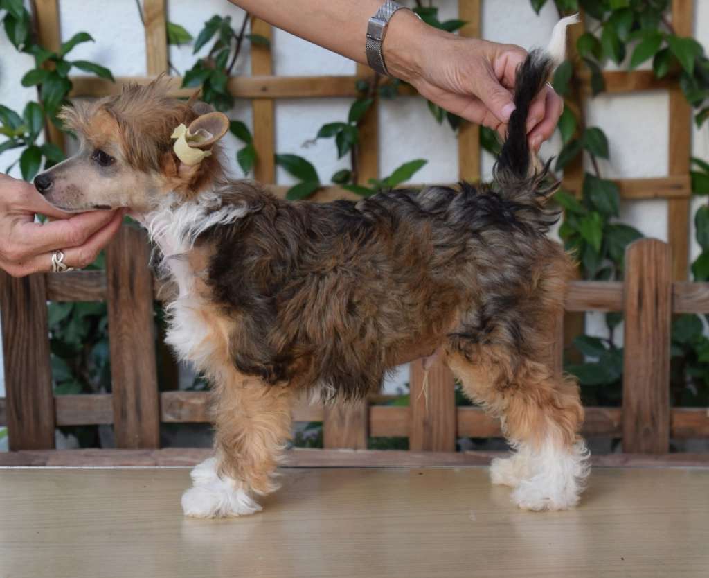 Zelendaya I Fell Good