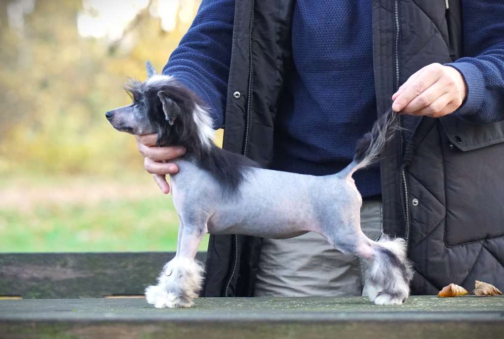 Fields Of Fame Heybett