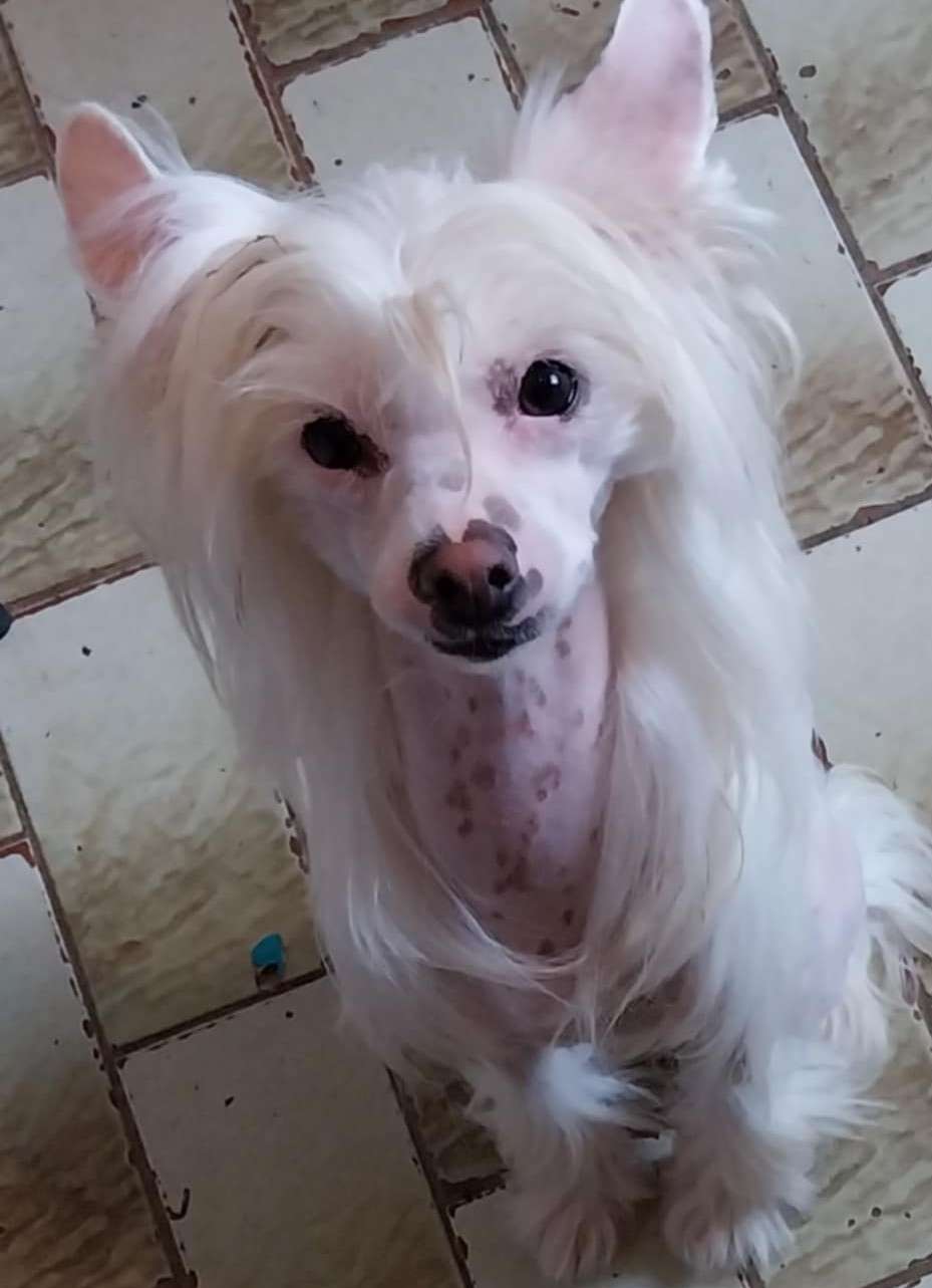 Ublanche Des Étoiles du Clos Maral