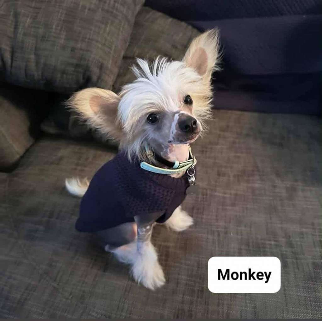 Koreke Cogito Ergo Sum