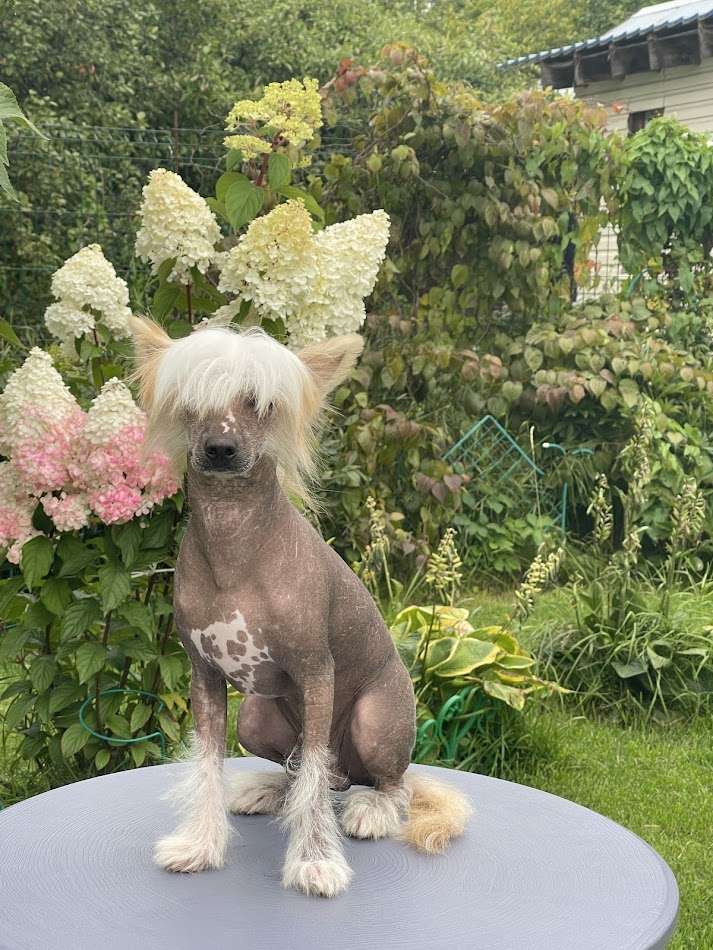 Show Galaktika Favorit