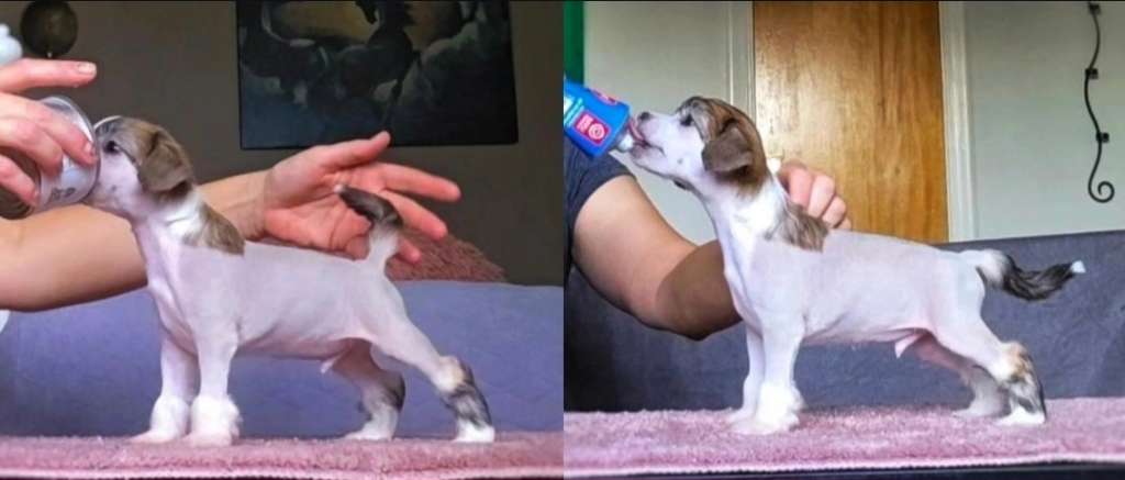 EXxiino's Hot Ticket To Morocco