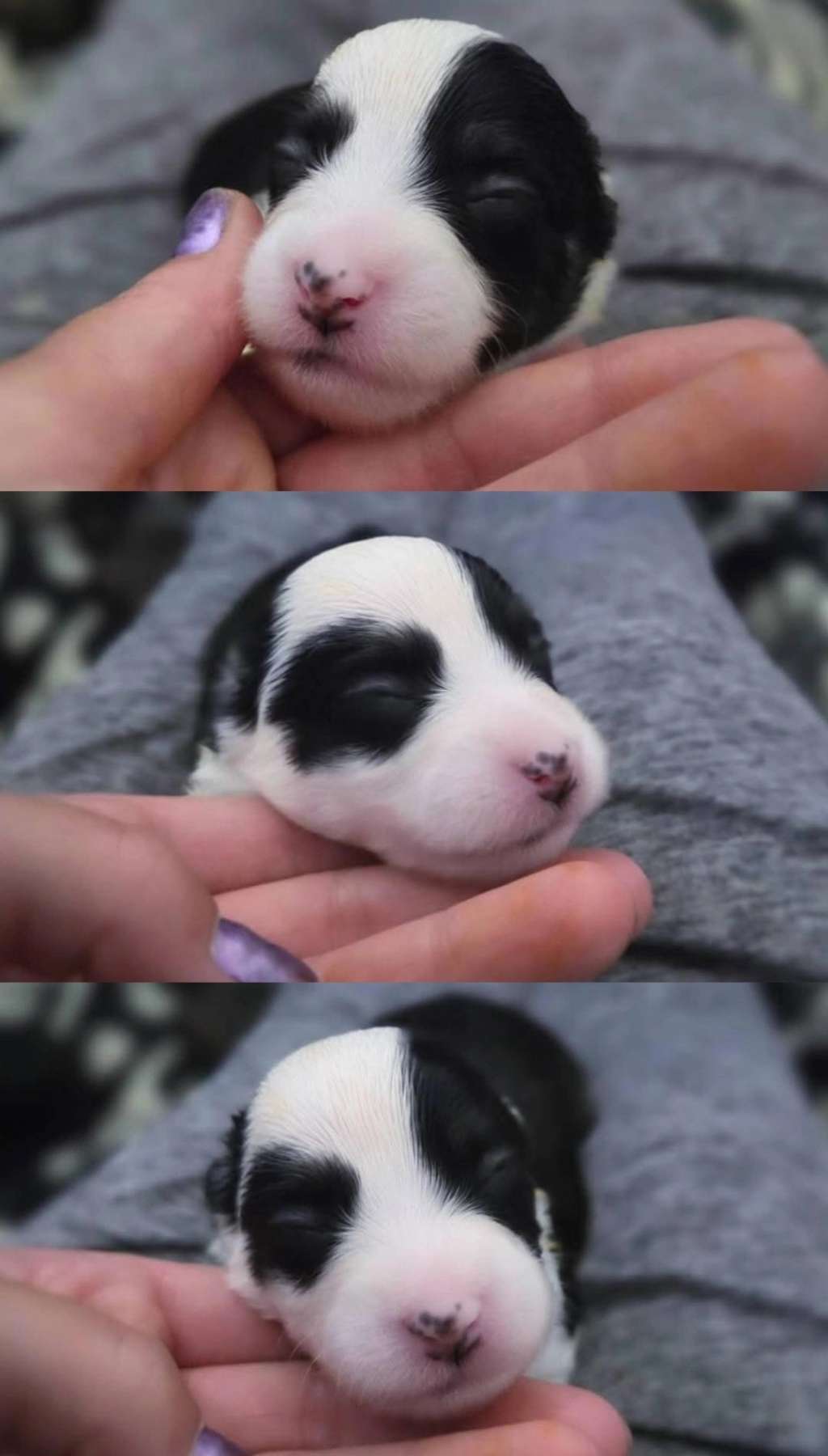 EXxiino's High Speed To Haiti