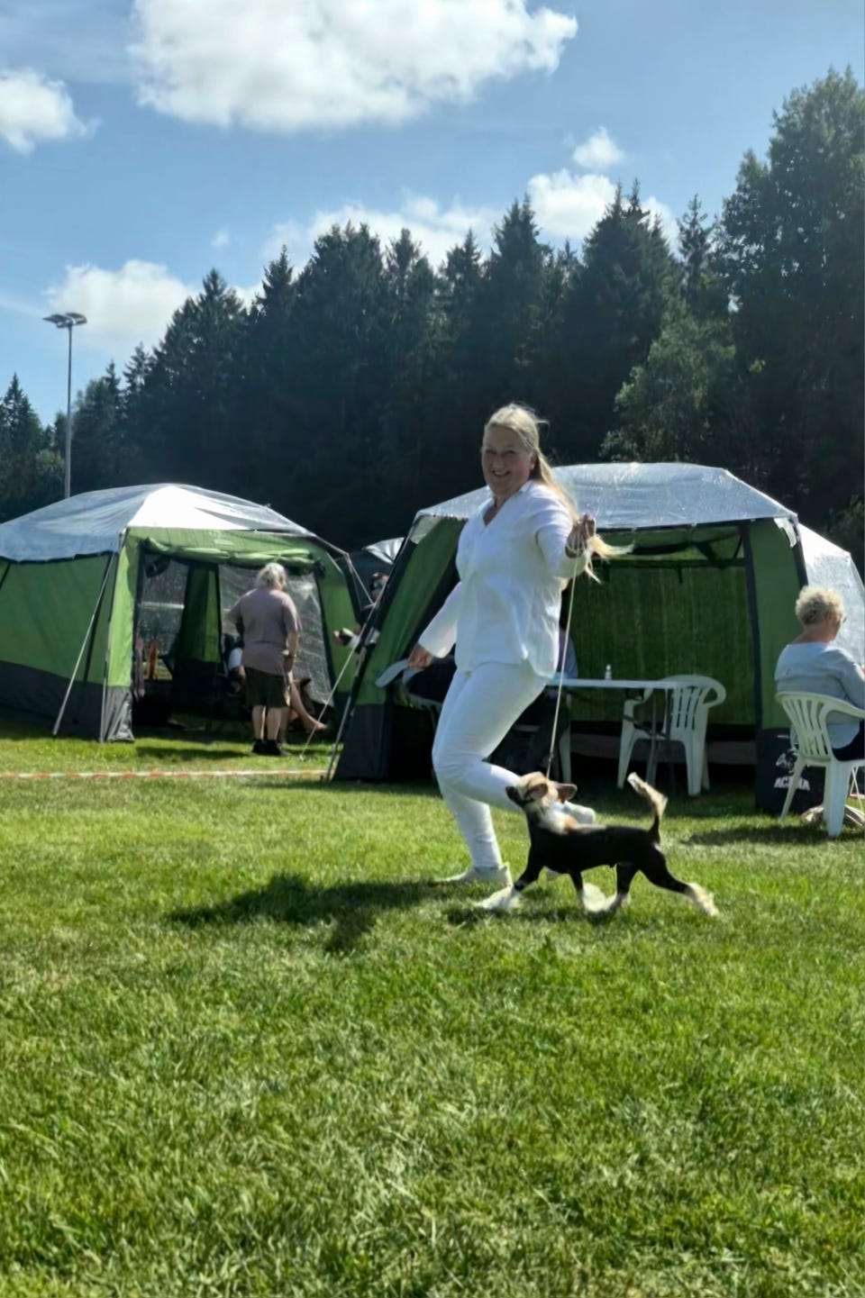 Cerohair Impeccable Creature