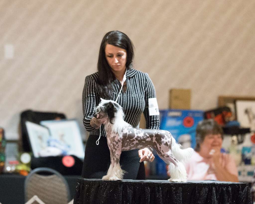 Rosebriar-Kaylen?s Princess Of Power