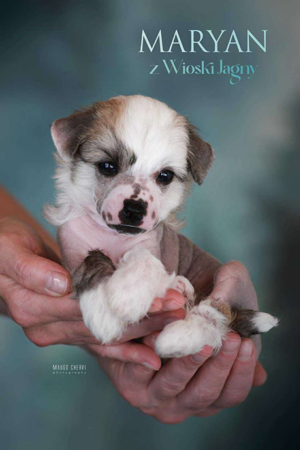 Maryan Z Wioski Jagny