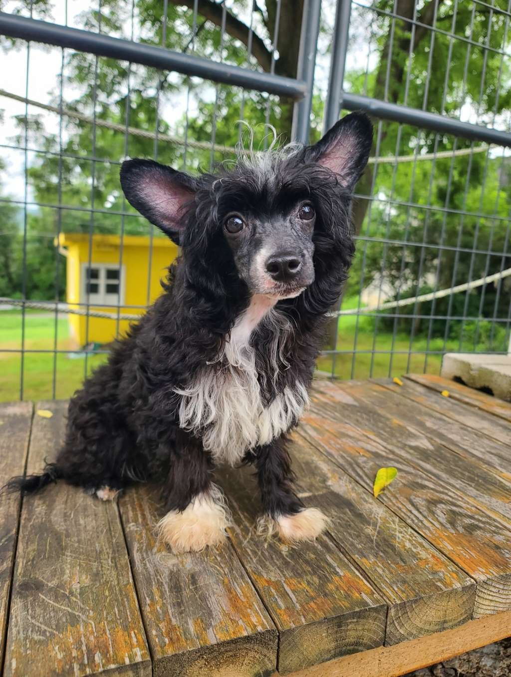 Long Haul's First and Formal Affair