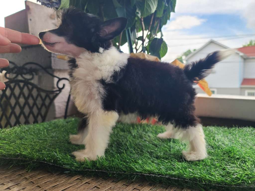 Long Haul's Can U C Me Now