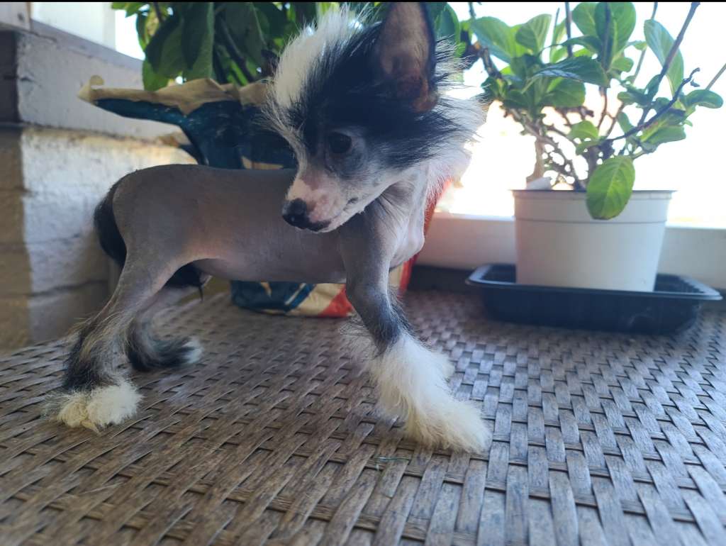 Long Haul's N'Ever Dull Twist Of Fate