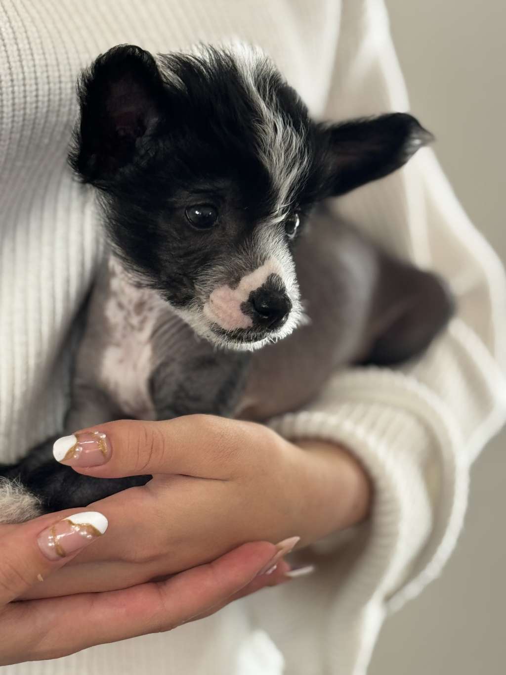 Malyna Z Wioski Jagny