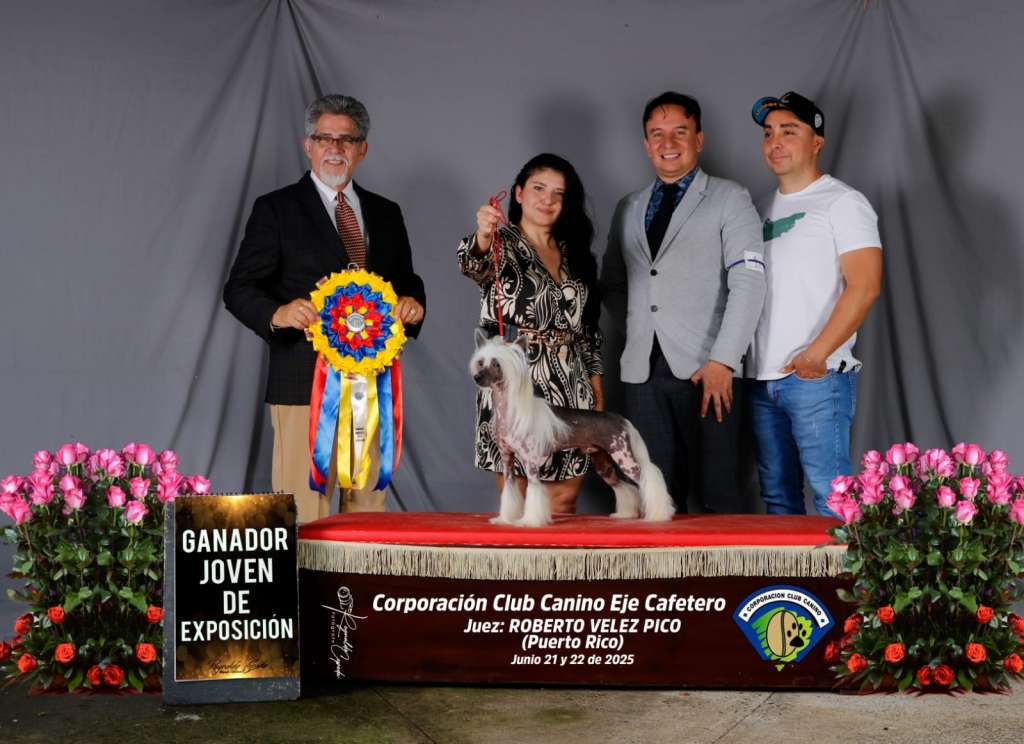 Masterpiece my golden Boy