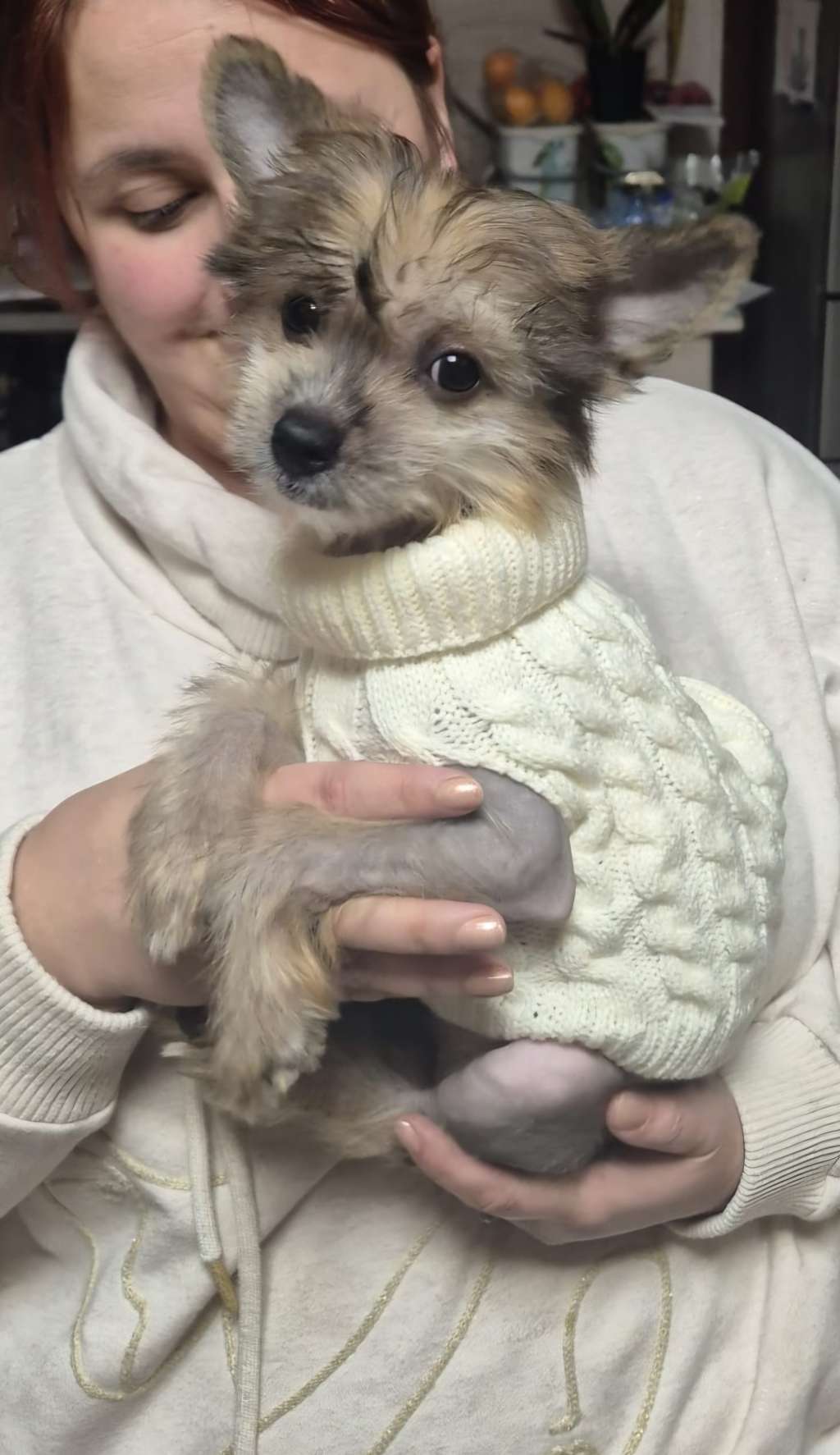 I am Ivy ze Zlocistego Raju