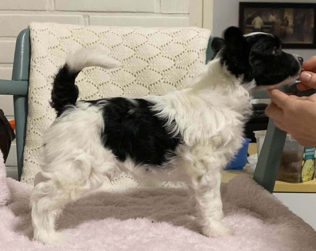 Finhani Bon Appetit Your Majesty