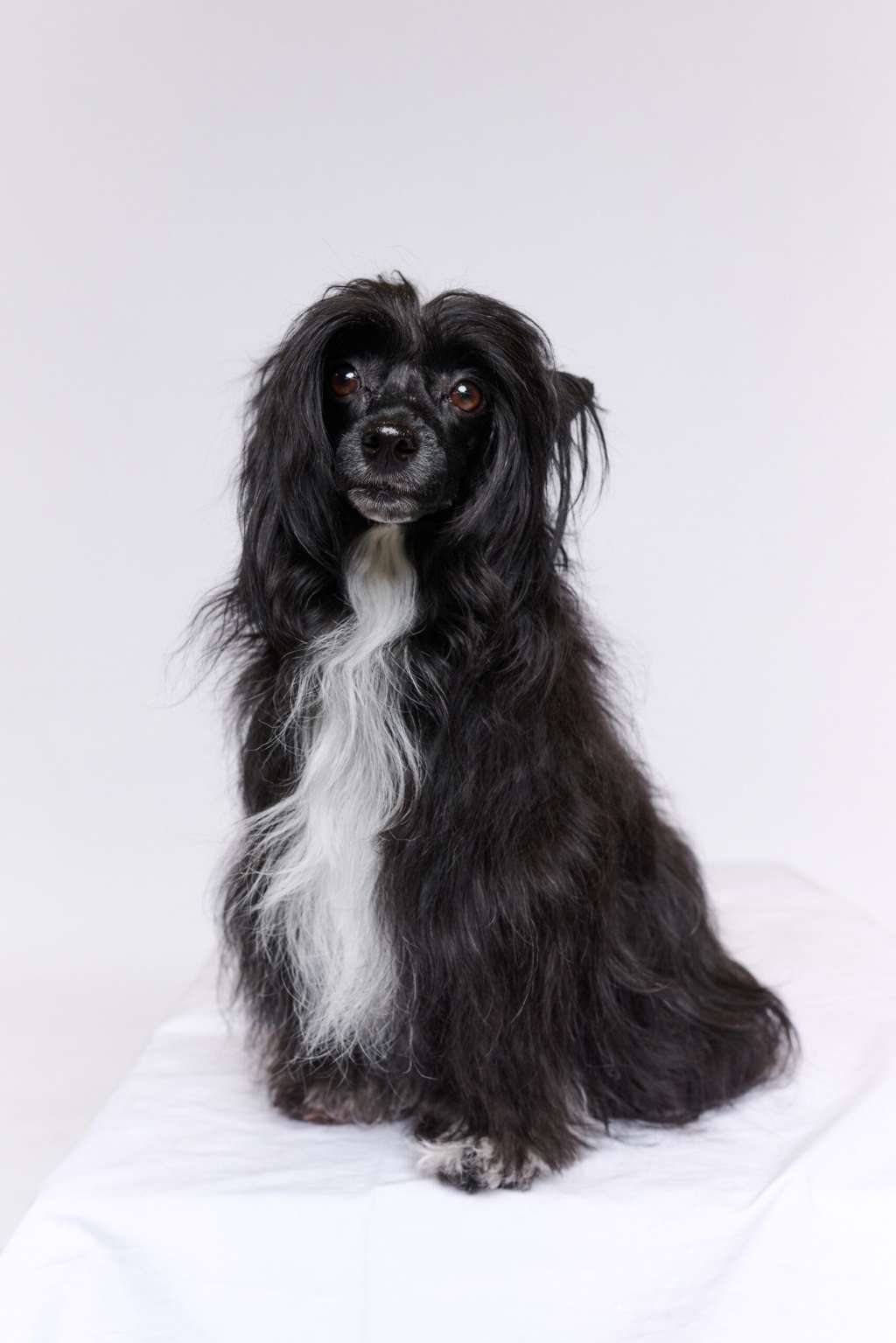 Zero Tolerance Witched Witch