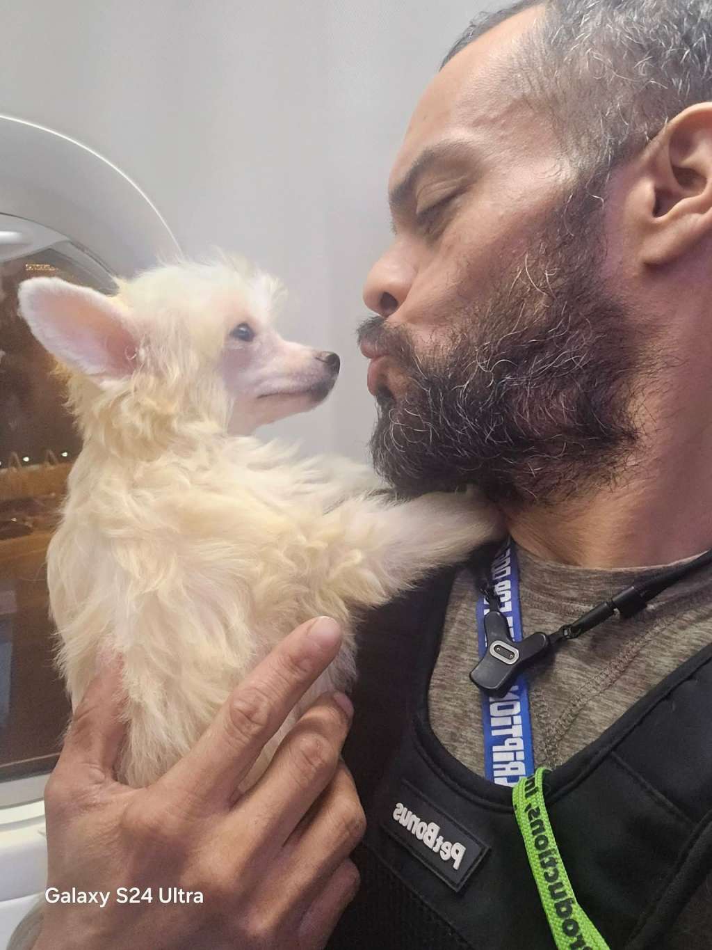 Castlecove Empress Daphne Elenor Grace of Hona Lei