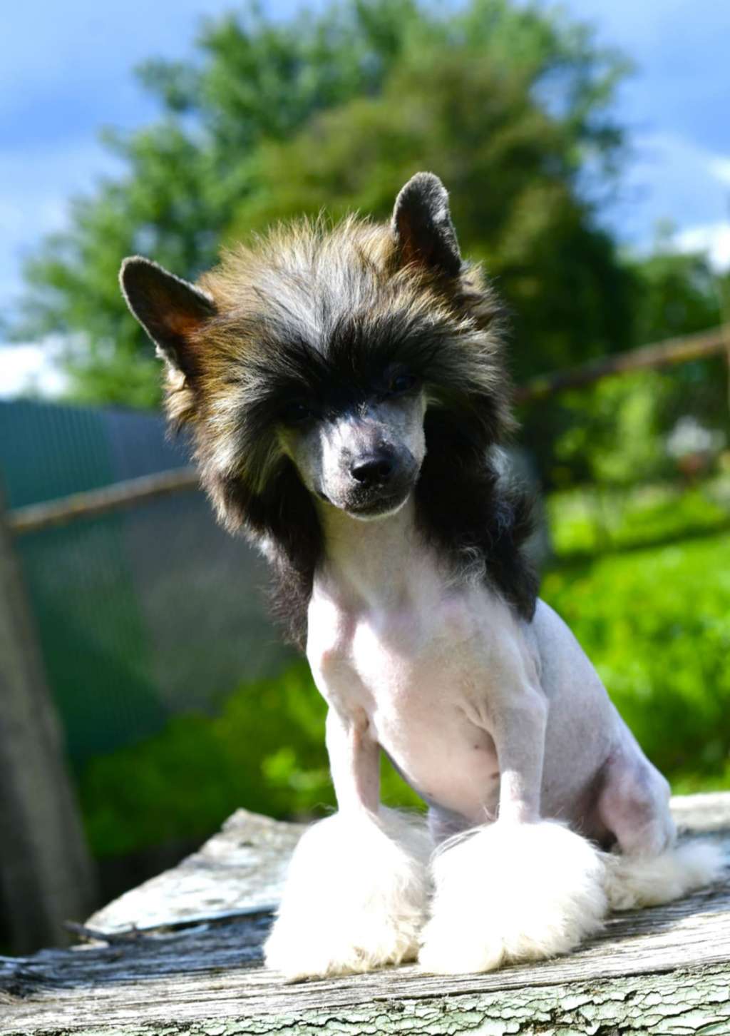 Daphne Winning Smile