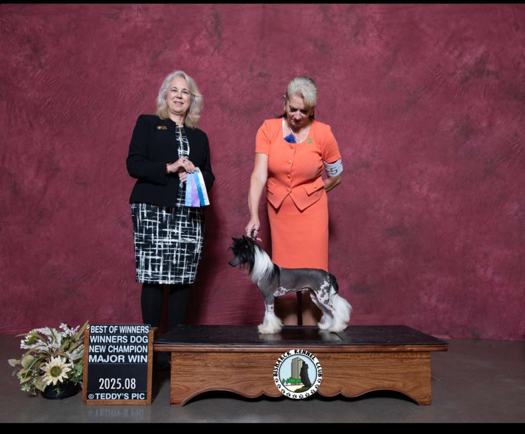 Ch Brymar Cristll I Can Only Imagine