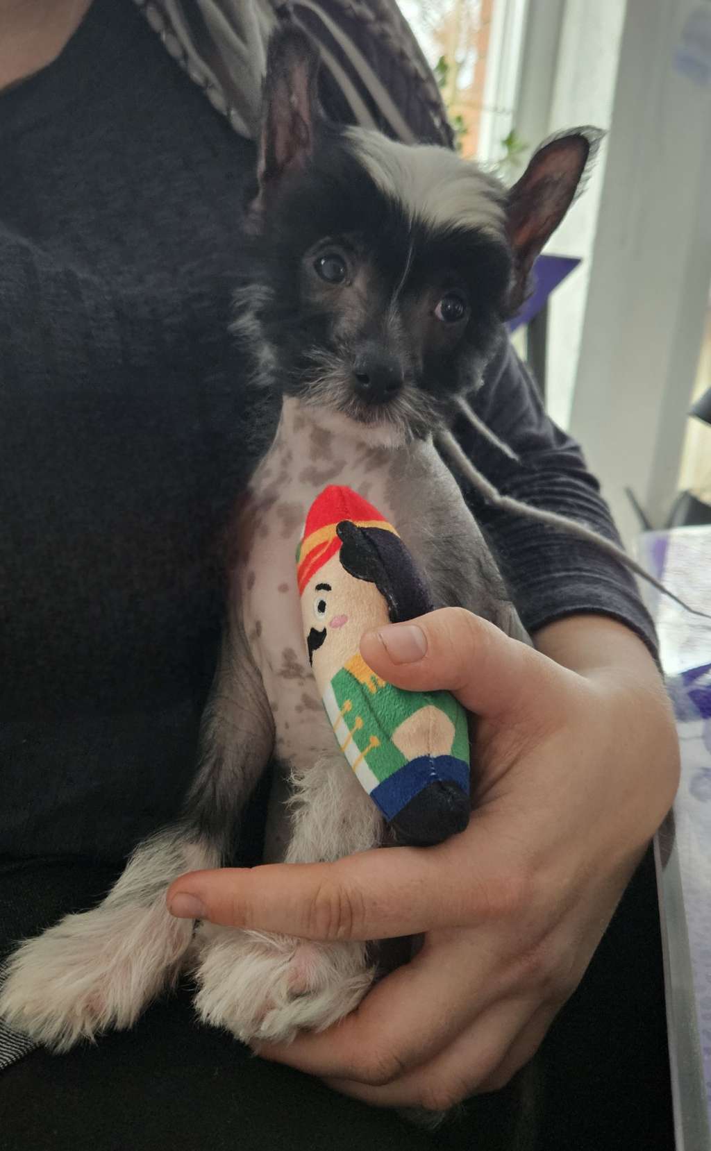 Bernd Siggi vom Leipziger Löwen